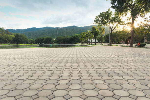 Best Driveway Pavers Near Me  in Castle Rock, WA